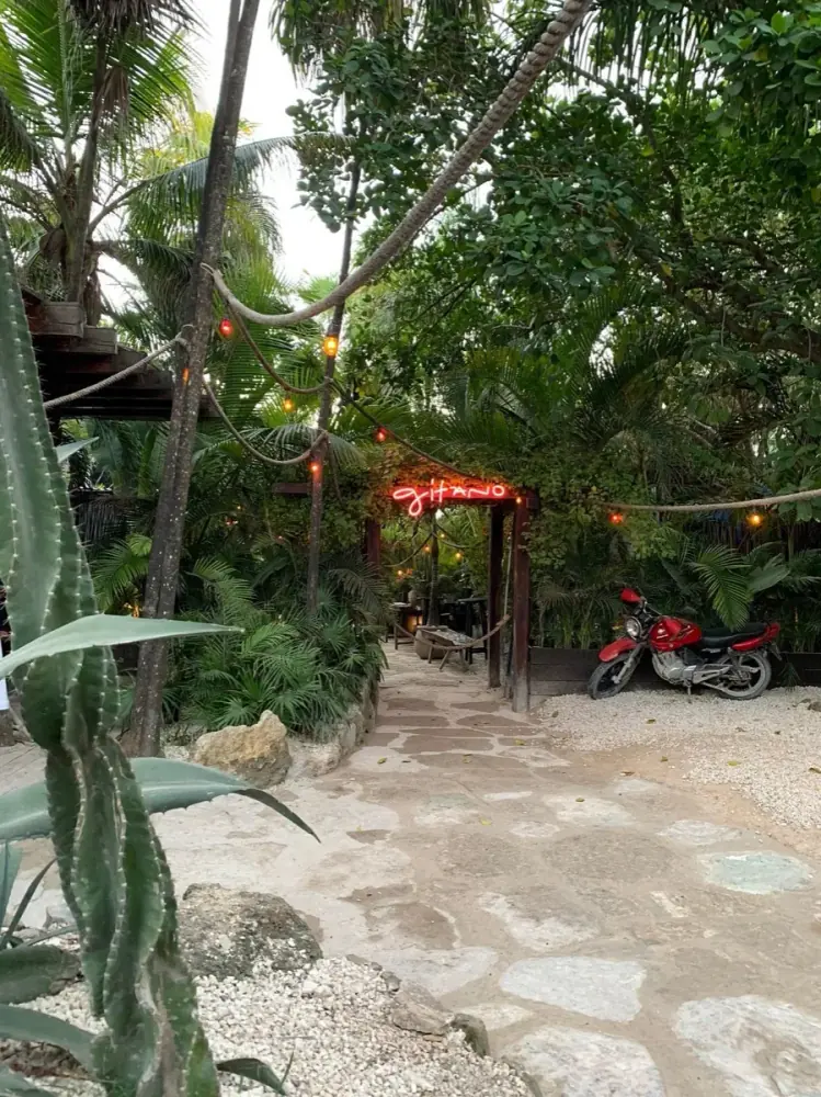 Nightlife in the Tulum jungle